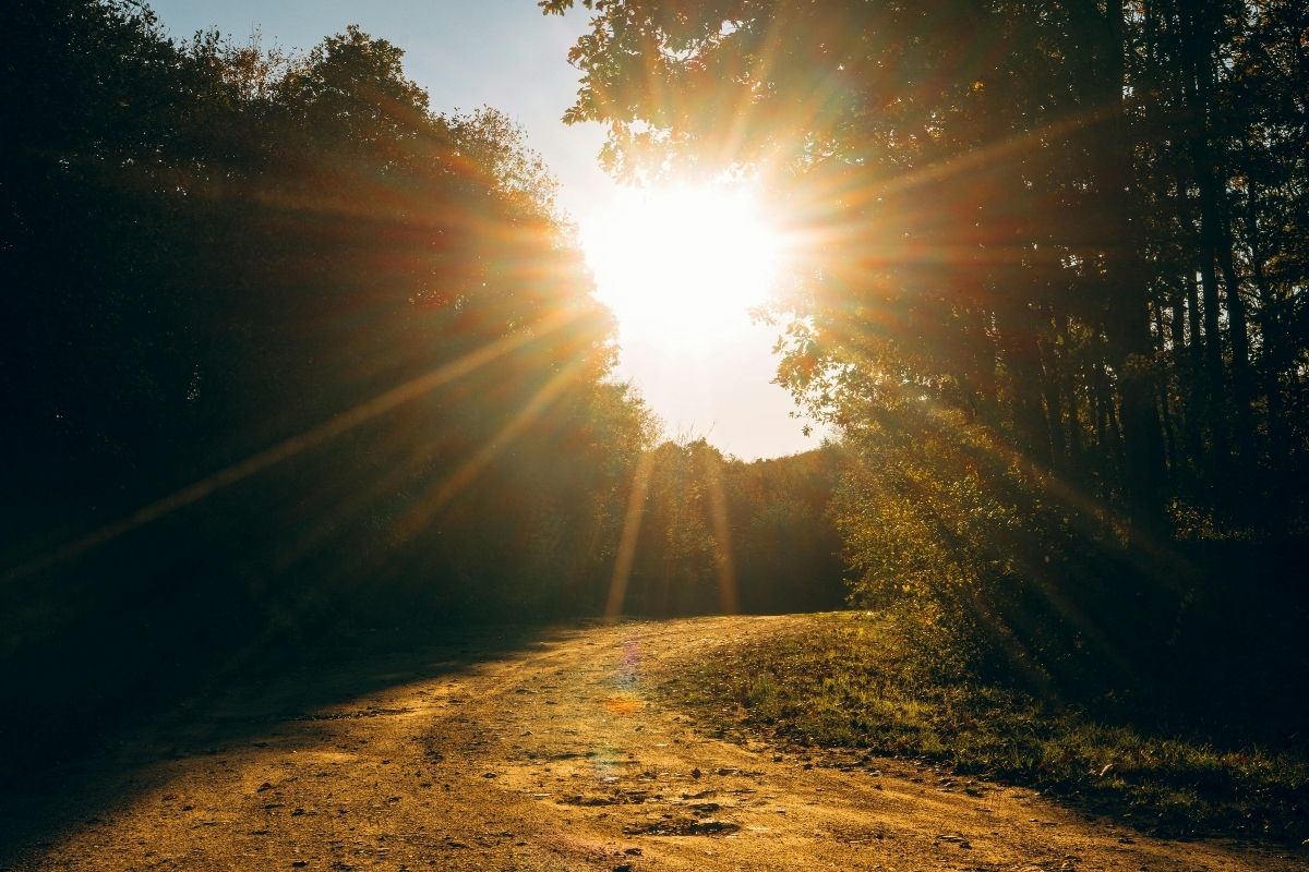 Blog Grief Conclusion - For My Parents Care